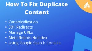 Fix Duplicate Content Issues