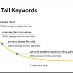 What are Long-Tail Keywords