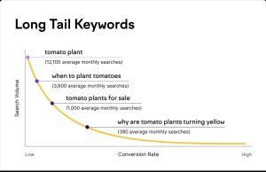 What are Long-Tail Keywords