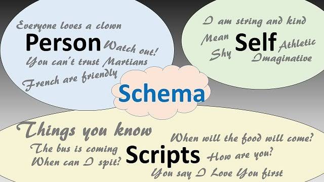 How To Use Schema