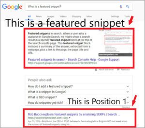 Which Content Gets Snippets